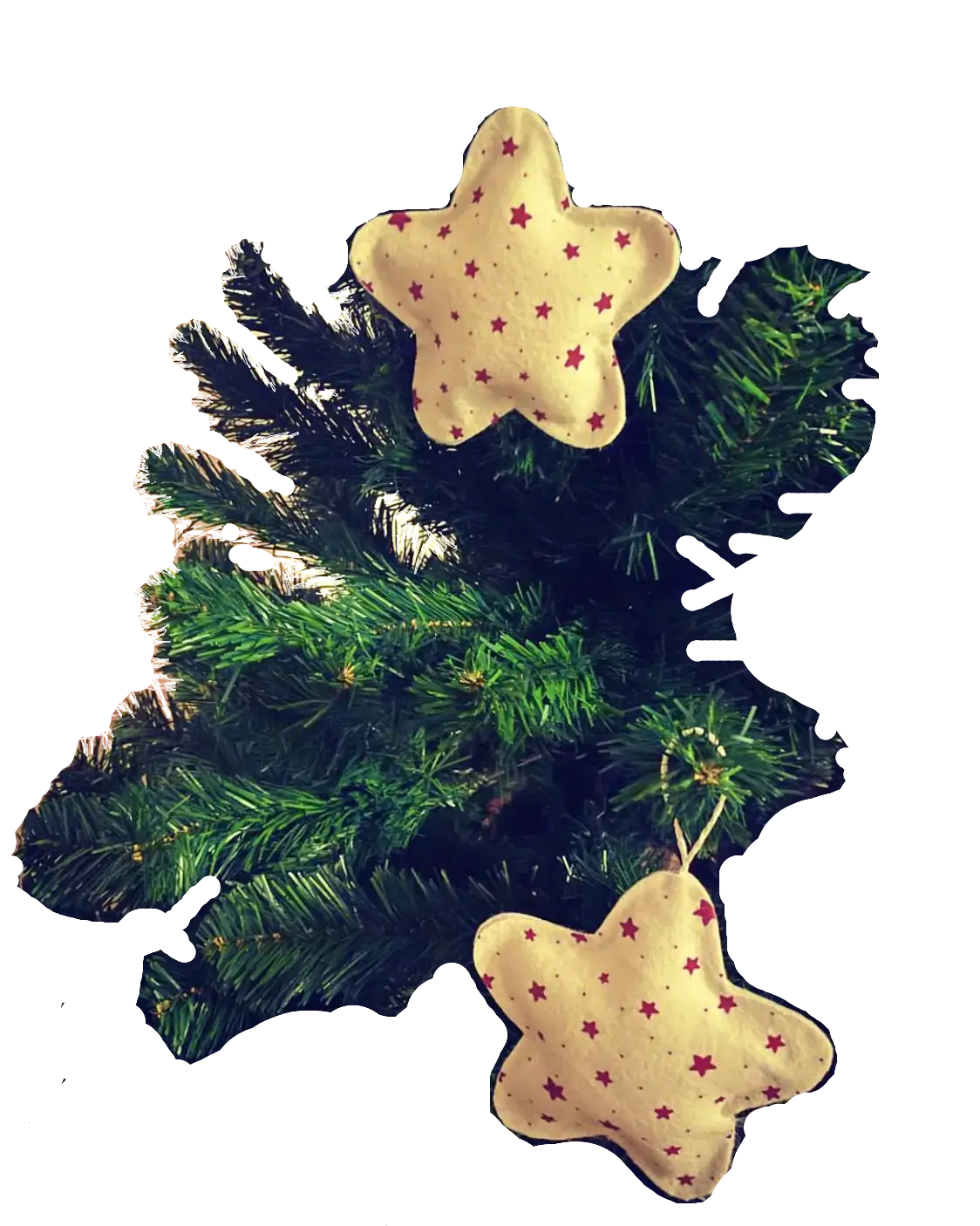 cosa farci regalare a natale